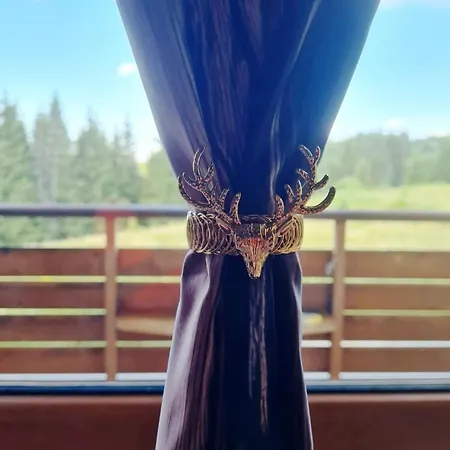 приветливо смарт студио с изглед към снежанка, до писта пампорово-стойките * Stoykite