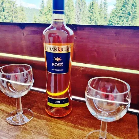 приветливо смарт студио с изглед към снежанка, до писта пампорово-стойките