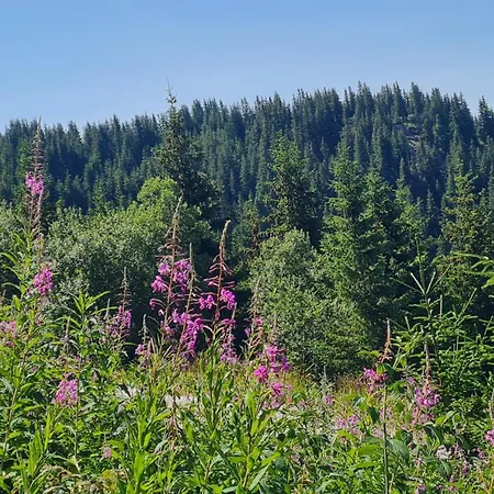 Апартаменты приветливо студио с балкон и изглед към снежанка, до писта пампорово-стойките