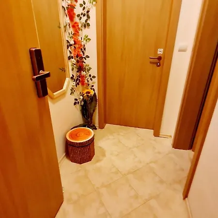 приветливо смарт студио с изглед към снежанка, до писта пампорово-стойките * Stoykite