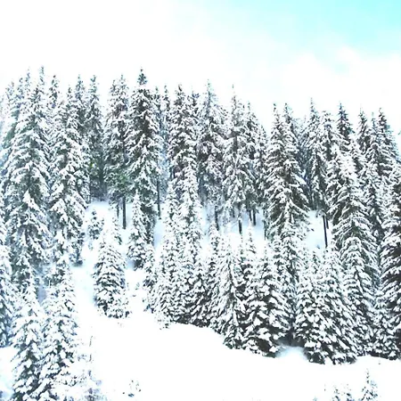 アパート приветливо смарт студио с изглед към снежанка, до писта пампорово-стойките Stoykite