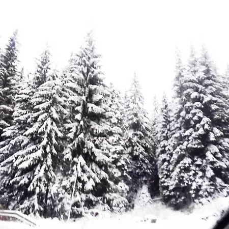 приветливо смарт студио, с изглед към снежанка и писта пампорово-стойките Appartamento Stoykite