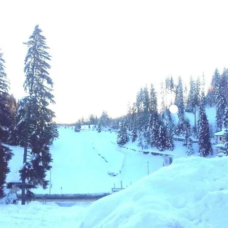 アパート приветливо смарт студио с изглед към снежанка, до писта пампорово-стойките