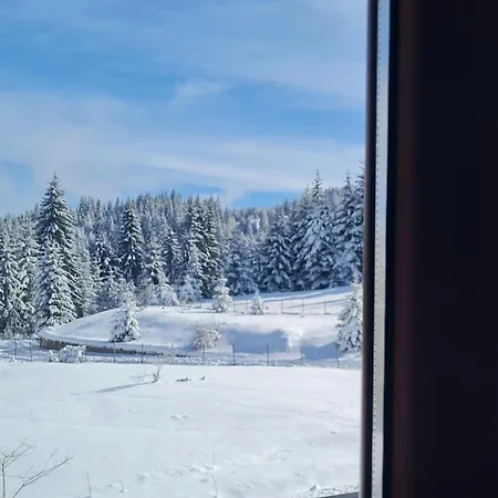 Διαμέρισμα приветливо смарт студио, с изглед към снежанка и писта пампорово-стойките Stoykite