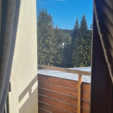 приветливо смарт студио, с изглед към снежанка и писта пампорово-стойките