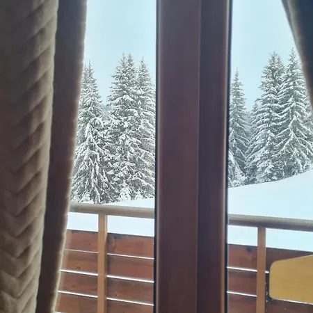 приветливо смарт студио, с изглед към снежанка и писта пампорово-стойките