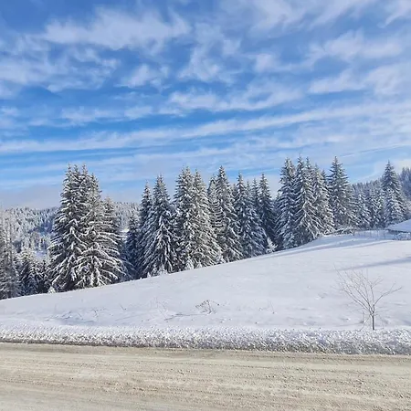 приветливо смарт студио, с изглед към снежанка и писта пампорово-стойките شقة