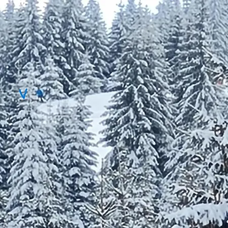 Appartamento приветливо смарт студио, с изглед към снежанка и писта пампорово-стойките Stoykite