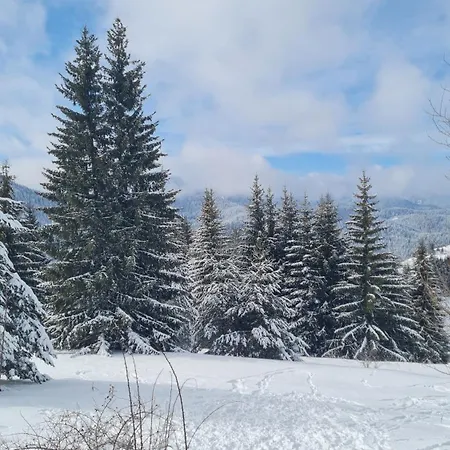 Appartamento приветливо смарт студио, с изглед към снежанка и писта пампорово-стойките