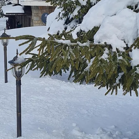 Appartamento приветливо смарт студио, с изглед към снежанка и писта пампорово-стойките Stoykite