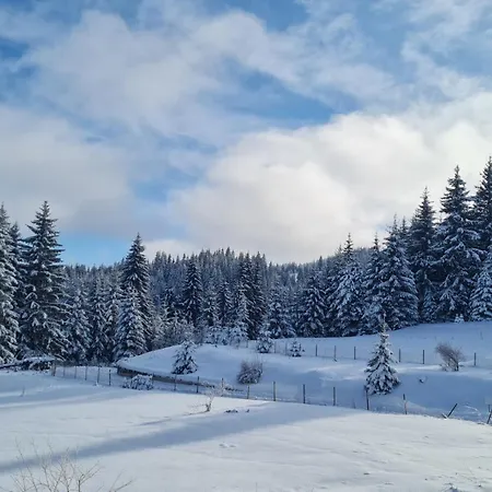 приветливо смарт студио, с изглед към снежанка и писта пампорово-стойките Appartamento Stoykite