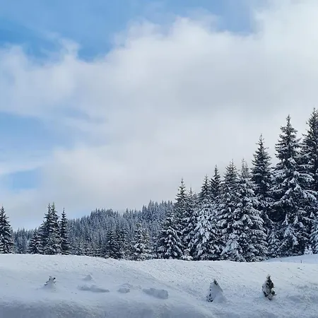 Appartamento приветливо смарт студио, с изглед към снежанка и писта пампорово-стойките *