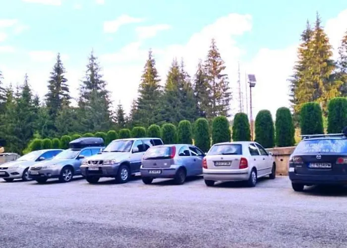 приветливо смарт студио, с изглед към снежанка и писта пампорово-стойките 公寓 *