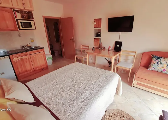 приветливо смарт студио, с изглед към снежанка и писта пампорово-стойките Stoykite