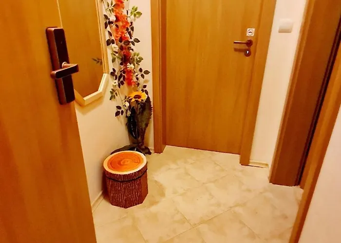 приветливо смарт студио, с изглед към снежанка и писта пампорово-стойките * Stoykite