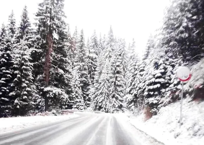 приветливо смарт студио, с изглед към снежанка и писта пампорово-стойките