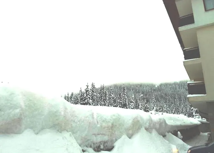 приветливо смарт студио, с изглед към снежанка и писта пампорово-стойките 公寓