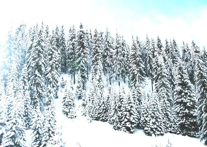 Διαμέρισμα приветливо смарт студио, с изглед към снежанка и писта пампорово-стойките Stoykite