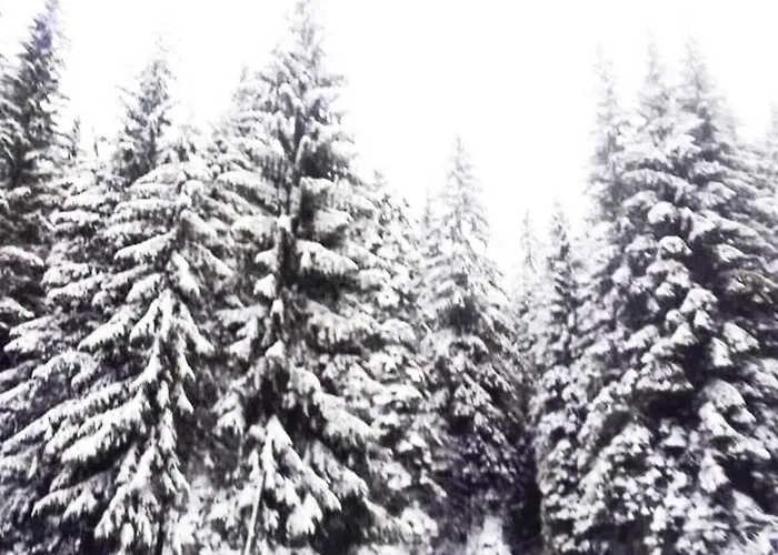 приветливо смарт студио, с изглед към снежанка и писта пампорово-стойките Διαμέρισμα Stoykite