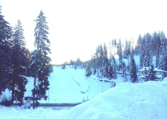 公寓 приветливо смарт студио, с изглед към снежанка и писта пампорово-стойките