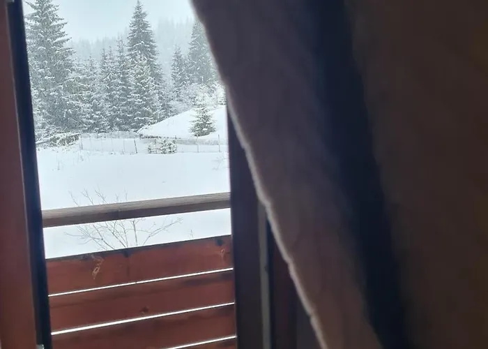 приветливо смарт студио, с изглед към снежанка и писта пампорово-стойките 公寓