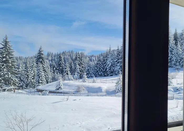 公寓 приветливо смарт студио, с изглед към снежанка и писта пампорово-стойките Stoykite