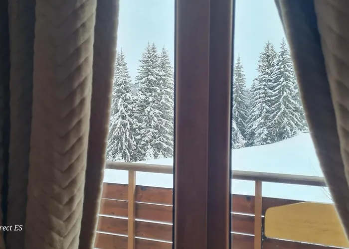 приветливо смарт студио, с изглед към снежанка и писта пампорово-стойките