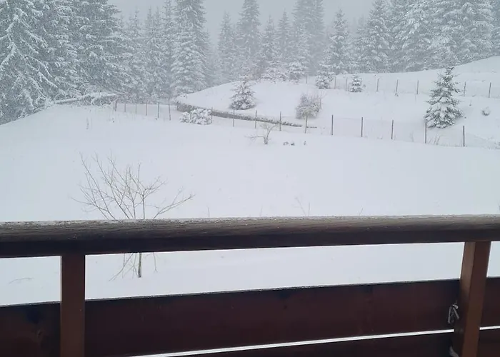 приветливо смарт студио, с изглед към снежанка и писта пампорово-стойките