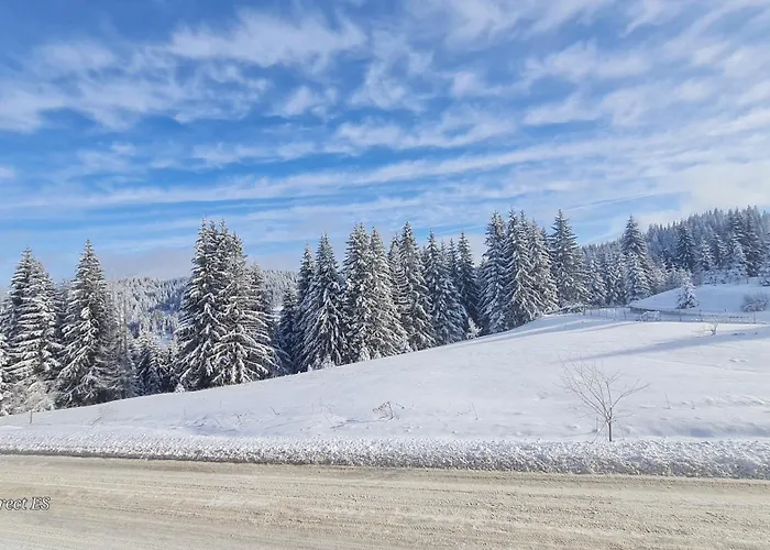 приветливо смарт студио, с изглед към снежанка и писта пампорово-стойките 公寓