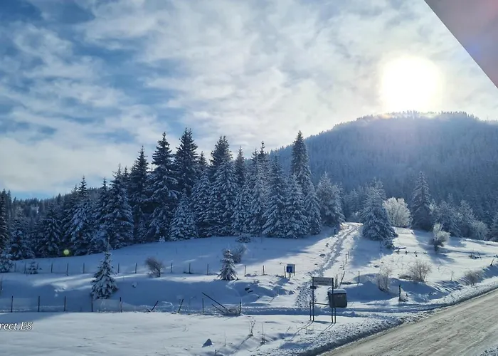 приветливо смарт студио, с изглед към снежанка и писта пампорово-стойките Stoykite