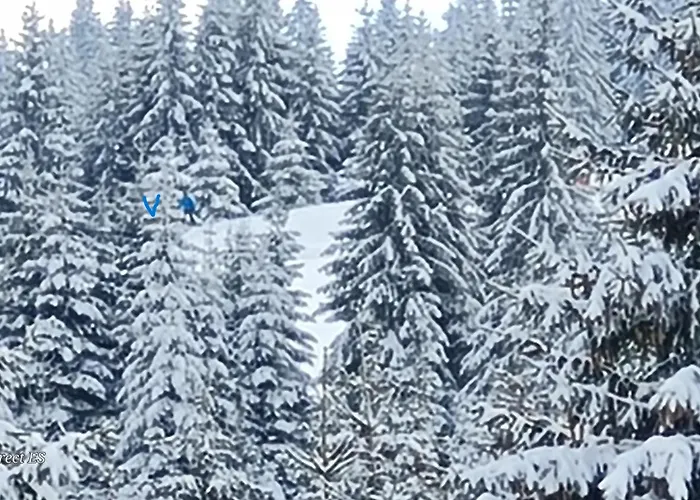 شقة приветливо смарт студио, с изглед към снежанка и писта пампорово-стойките Stoykite