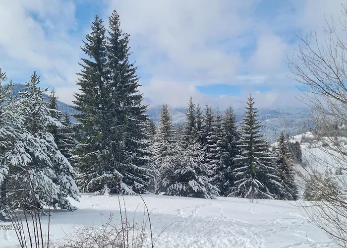 Διαμέρισμα приветливо смарт студио, с изглед към снежанка и писта пампорово-стойките