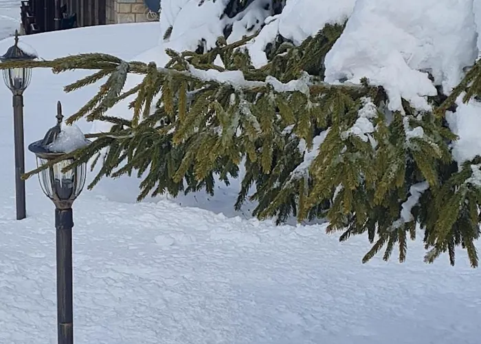 Διαμέρισμα приветливо смарт студио, с изглед към снежанка и писта пампорово-стойките Stoykite