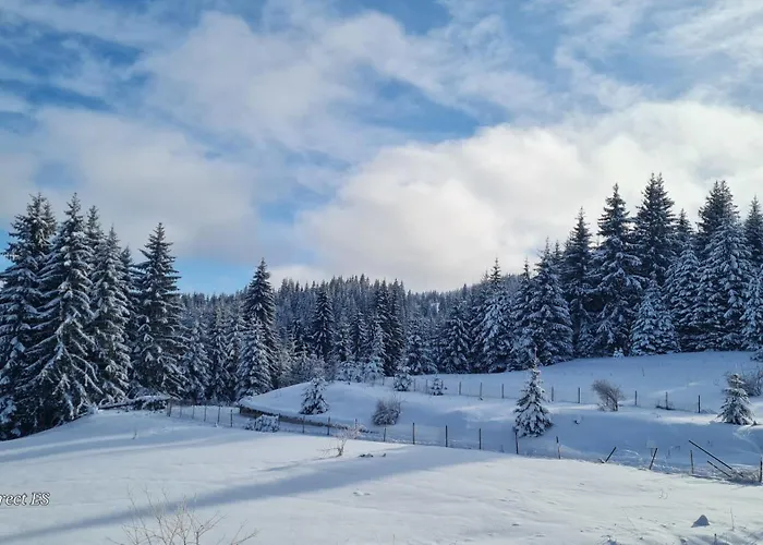 приветливо смарт студио, с изглед към снежанка и писта пампорово-стойките Διαμέρισμα Stoykite