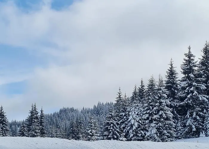 公寓 приветливо смарт студио, с изглед към снежанка и писта пампорово-стойките *